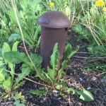 Picture of a mushroom cap sewer vent