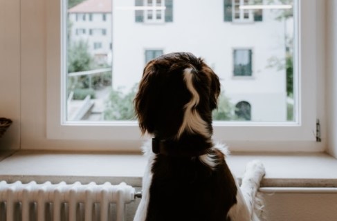 how to fix one cold radiator