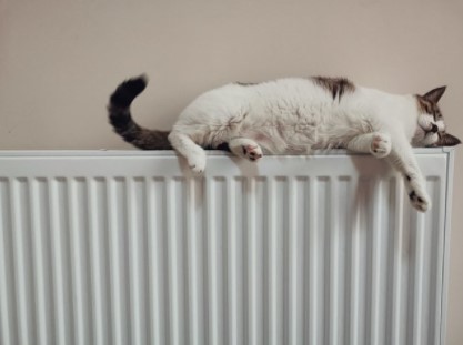 radiator warning signs